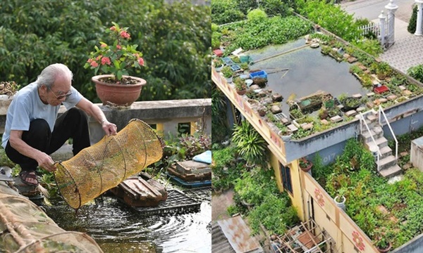 Cụ ông 87 tuổi "chịu chơi" mang cả cái ao đặt trên mái nhà rồi trồng rau nuôi cá
